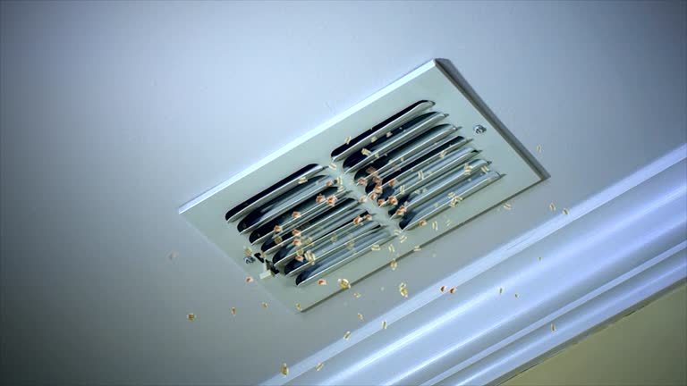 Best Air Vent Cleaning Services  in Bristol, TN
