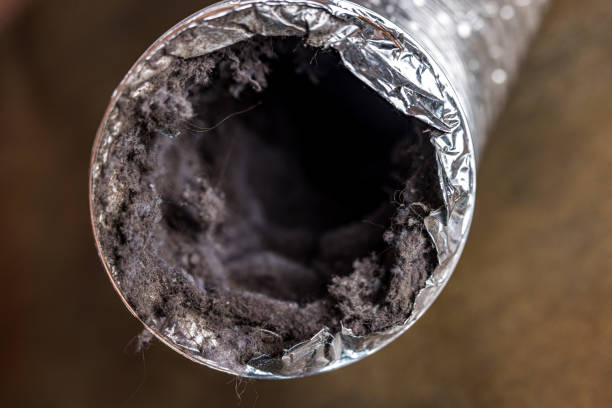 Best Air Duct Cleaning Near Me  in Bristol, TN
